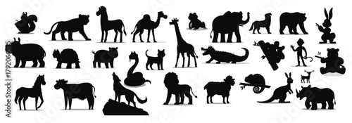 collection of cute wild animal illustrations