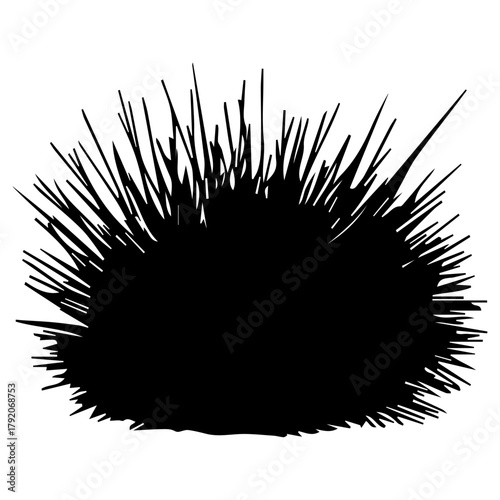 Sea Urchin Silhouette