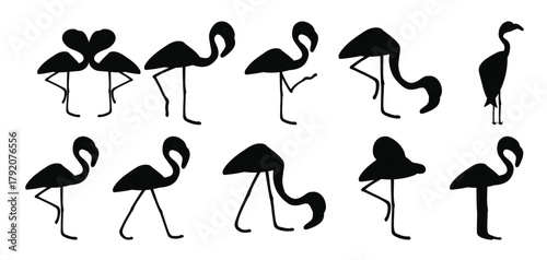 Set of Flamingo vector illustration