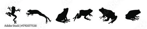  frog collection vector illustration