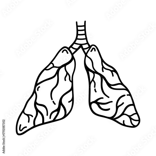 Human lungs vector illustration. Respiratory system organ with bronchi, trachea. Hand drawn sketch, black and white doodle. Simple isolated clipart for medical, educational, pulmonology projects