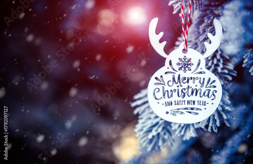 Congratulations on Christmas and New Year on snow-covered fir trees