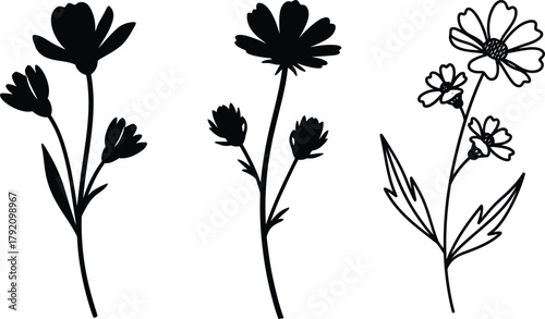 Wildflower stems trio, simple black silhouettes and one line-art sprig with multiple blossoms, minimal botanical vector set.