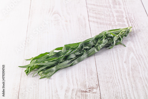 Bild auf Leinwand Fresh green estragon aroma stem