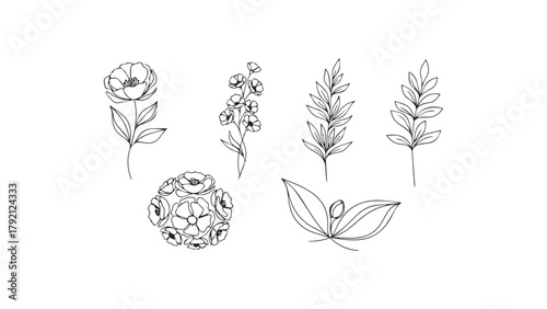 A collection of five minimalist botanical illustrations, each featuring a unique arrangement of flowers, leaves, and stems drawn in a continuous line art style. 