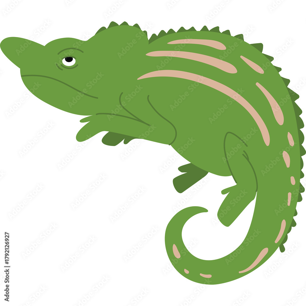 Obraz premium Green Chameleon with Pink Stripes on its Body Curled Tail and a Neutral Expression on Transparent Background