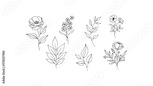 A collection of five minimalist botanical illustrations, each featuring a unique arrangement of flowers, leaves, and stems drawn in a continuous line art style. 