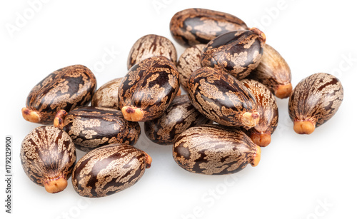 Bean-shaped, mottled, glossy castor oil seeds on white background. File contains clipping paths.