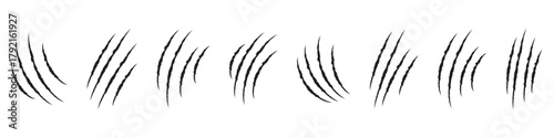Animals claw scratches icons set, Claw scratch icon set. Animal scratches. Claws silhouette, vector illustration