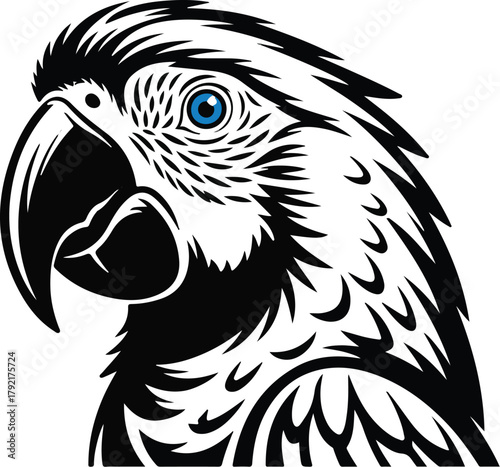 Black and white macaw parrot illustration flying with detailed feathers and wings