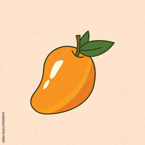 vector illustration of an orange fruit