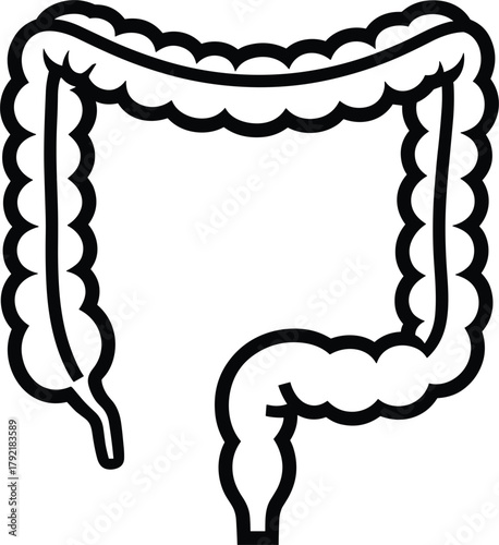 Large Intestine Colon Outline Vector Illustration Simple Digestive System Anatomy Design