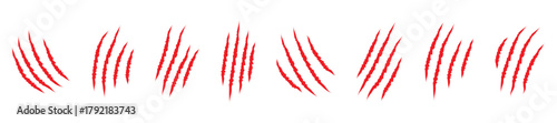 Animals claw scratches icons set, Claw scratch icon set. Animal scratches. Claws silhouette, vector illustration