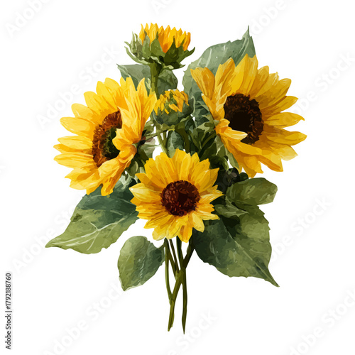 Stylized watercolor Sunflower Bouquet vector, modern artistic illustration with high-quality details on a pure white background.