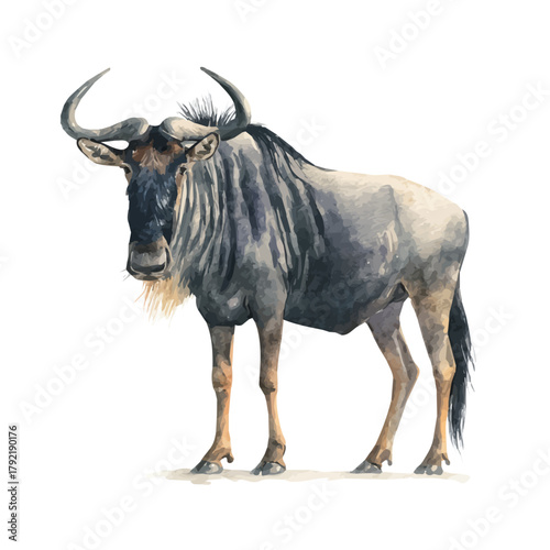 Wildebeest watercolor drawing vector, premium quality illustration on a clean white background.