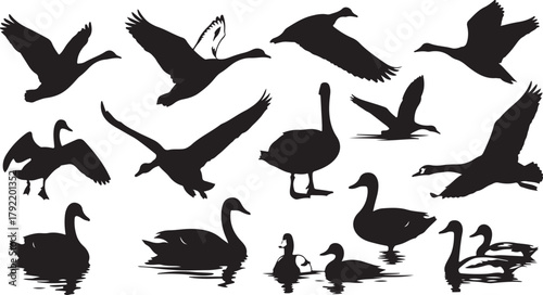 Collection of Black Silhouettes of Geese and Ducks in Various Poses