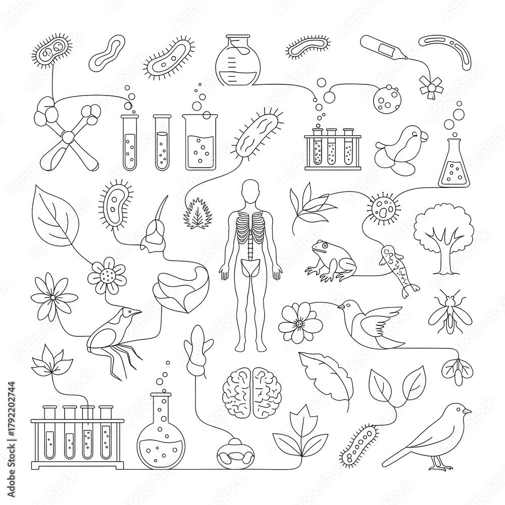 Fototapeta premium Biodiversity and Human Body A Connected Ecosystem Illustration