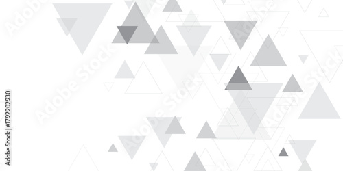 Abstract elegant triangle. White silver grey geometric universal background. modern design background with geometric shape. abstract graphic design banner pattern background template. Vector .	