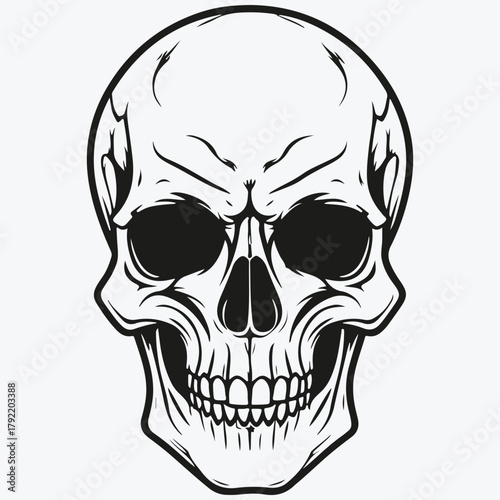 scull sketch illustration vector