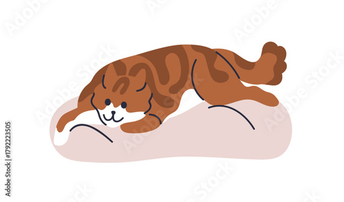 Cute cat lying, relaxing on pet bed. Lazy fat chubby feline animal resting on soft cushion. Adorable kitty chilling, relaxation in funny pose. Flat vector illustration isolated on white background
