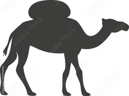 Silhouette of a dromedary camel with a hump against a white background