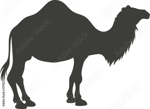 Silhouette of a dromedary camel standing against a white background