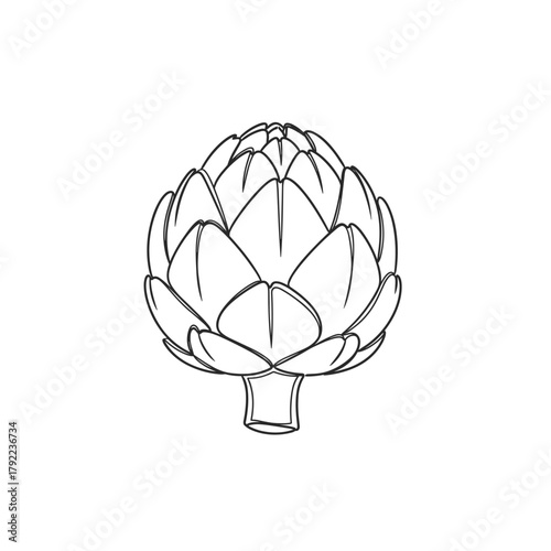 Detailed hand drawn sketch of a fresh artichoke on a white background