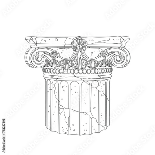 Detailed sketch of an ornate ionic column capital and shaft