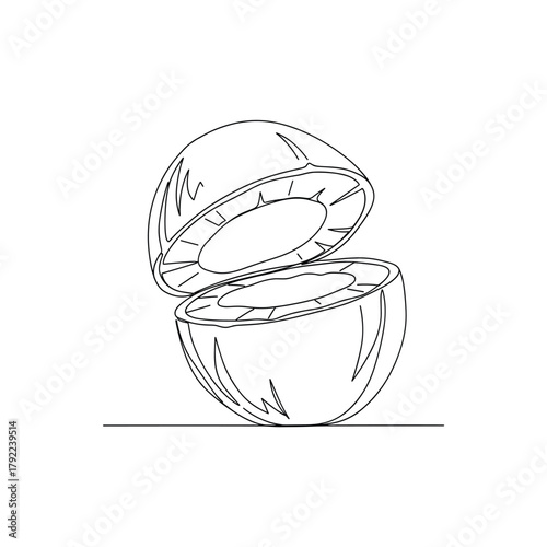Stylized line drawing of two halved coconuts stacked openly on a surface