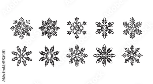 Collection of ten unique snowflake silhouettes on a white background winter design elements silhouette