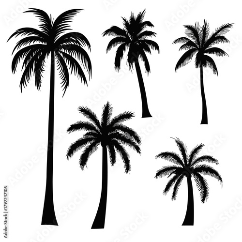Set of five black palm tree silhouettes with varying trunk shapes and detailed fronds isolated on white background minimalist tropical vector illustration