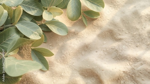 Soft Natural Green Leaves on Warm Sand – Minimal Nature Background