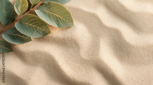 Minimalist Nature Background Delicate Green Leaf on a Soft Sand Canvas