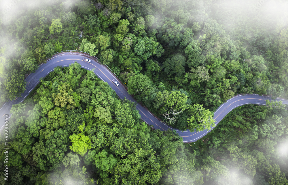 Obraz premium Aerial view of a winding road curving through lush green tropical forest with misty atmosphere. Scenic mountain highway surrounded by dense jungle and natural landscape.