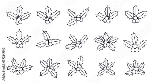 Collection of holly sprigs with berries, presented as black and white line art, ideal for festive designs.