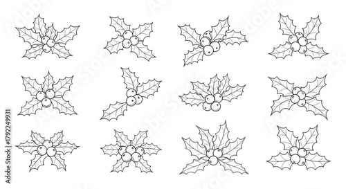 Collection of twelve holly berry and leaf arrangements in black and white line art style, perfect for Christmas or winter holiday designs.