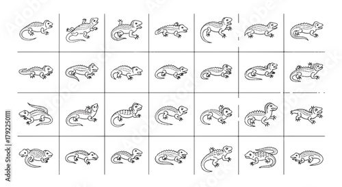 Lizard Diversity: Hand-Drawn Line Art Collection of Reptile Variations in Vector Style, Capturing Unique Details and Anatomy for Educational Illustration