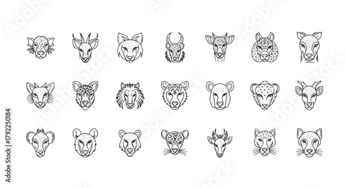 Set of african animal heads illustration in line art style, lion, leopard, cheetah vector for logo design, safari africa concept between 70 and 130 chars