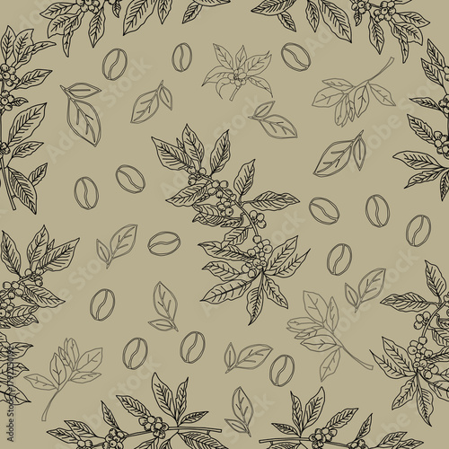 Seamless floral pattern. Branch with leaves. vector illustration of coffee branch. Coffee plant branch with leaf. Hand drawn Coffee tree vector. Coffee beans and leaves. Branch of a plant