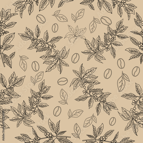 Seamless floral pattern. Branch with leaves. vector illustration of coffee branch. Coffee plant branch with leaf. Hand drawn Coffee tree vector. Coffee beans and leaves. Branch of a plant