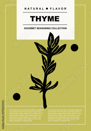 Thyme. Set of posters of spices and herbs in a abstract draw design. Label or poster for food preparing and culinary. Simple, flat design. For poster, cover, banner.	