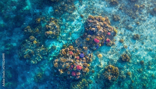 Fototapeta Naklejka Na Ścianę i Meble -  Breathtaking aerial perspective reveals pristine coral reef formations flourishing in crystal clear tropical waters
