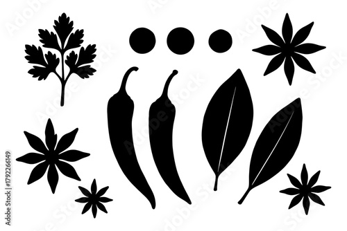 Silhouette of spices and herbs: chili peppers, bay leaves, star anise, parsley.