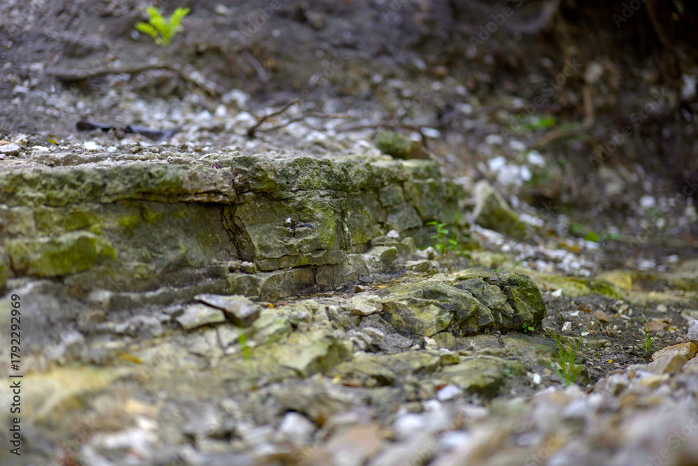 Foto Close-up of stratified sedimentary rock layers covered in moss and dirt, showcasing geological texture and erosion in a natural environment