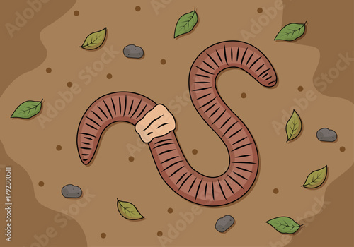 Gusano de tierra o lombriz en suelo con hojas y piedras