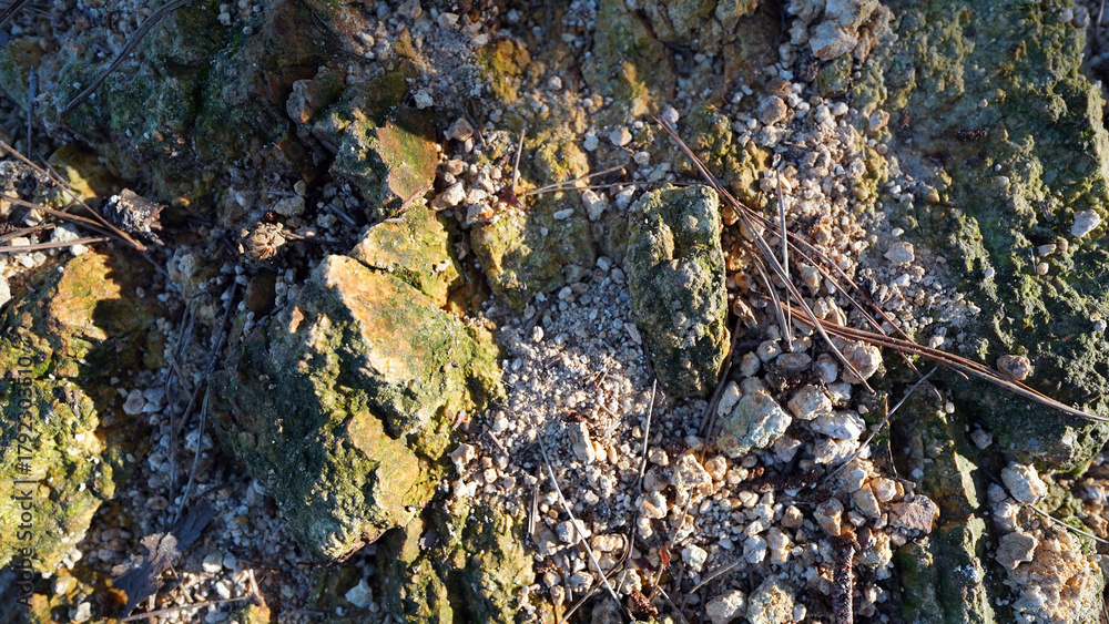 Obraz premium Natural ground surface with scattered rocks and gravel showcasing earthy textures