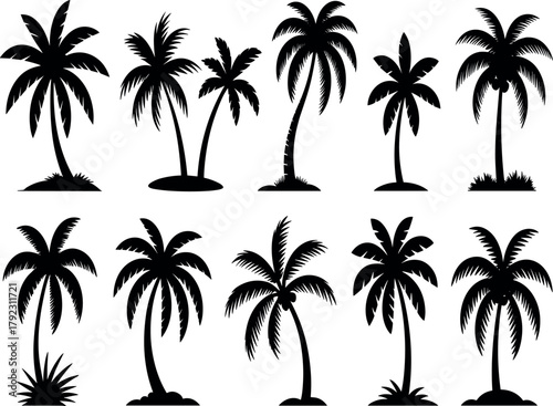 Assorted Tropical Palm Tree Silhouettes Vector Pack