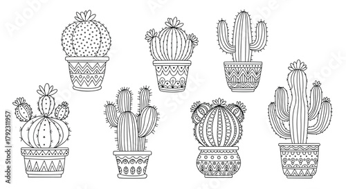 A collection of seven different potted succulent plants illustrated in a detailed line art style.