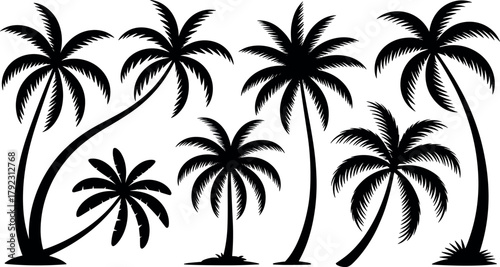 Tropical Palm Trees Black Silhouettes Vector Collection