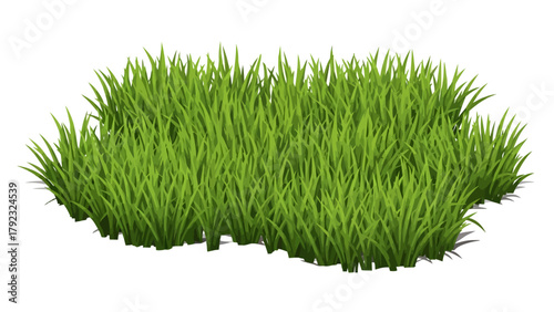 A cluster of vibrant green grass blades with shadows